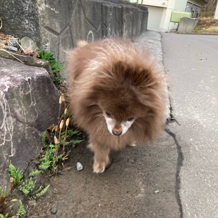 6d52e98b 8217 489e 86e4 53165cb19954 1713300405356