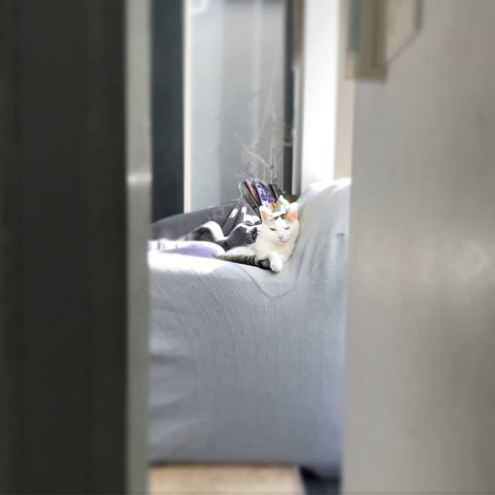 6d52efcc 83df 4ef1 8826 c6333786b205 1575015375001