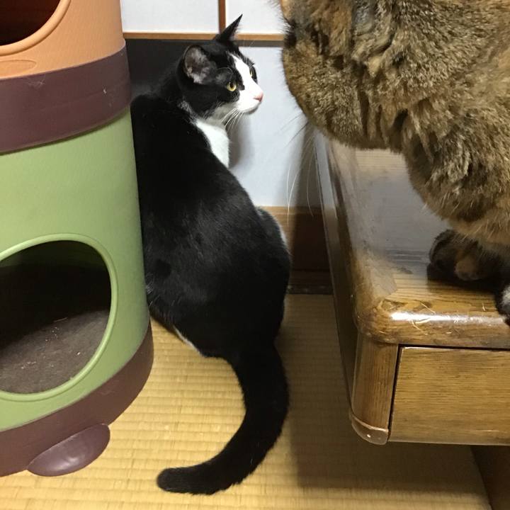 6d531ef1 b241 4d58 9028 71bd78d033e0 1761554442345