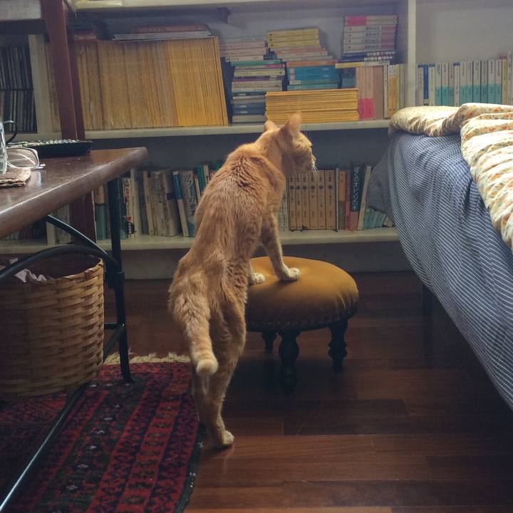 6d532b68 881b 4a9f a30c acae8107d2ae 1537989067610