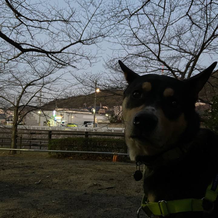 6d532fca d5be 4c27 af29 e216117da10c 1611880630932