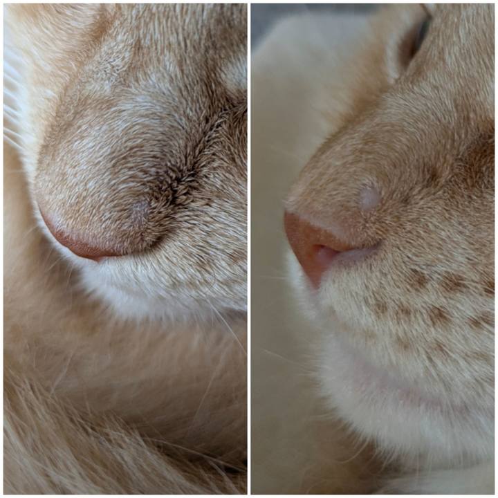 6d533c14 dac3 4e75 82cc 5d4c9f1d8a1b 1760572408044