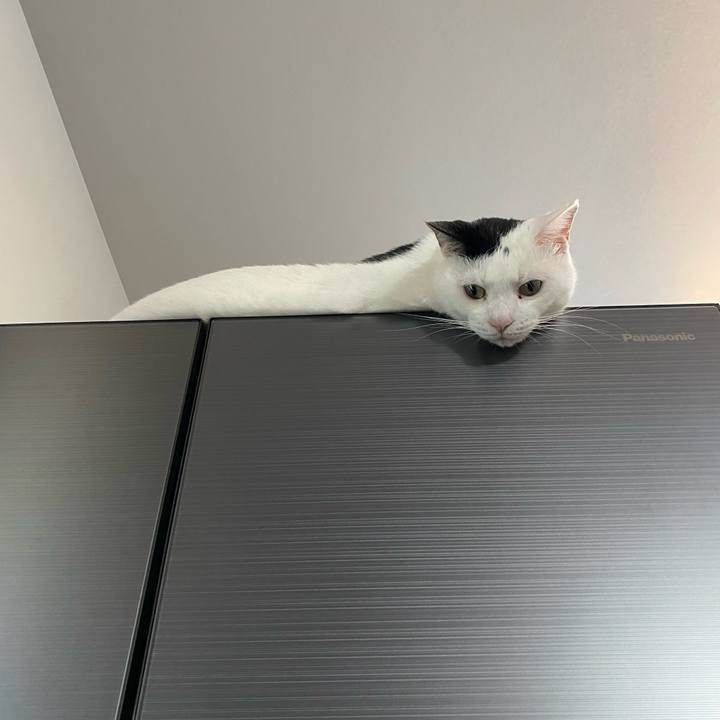 6d5352a3 5361 4b84 8e39 021532437a08 1753664254994