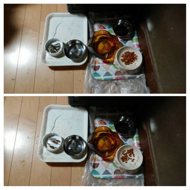 6d5362ae b9c6 4290 8eb9 cad3aa13959f 1623876530263