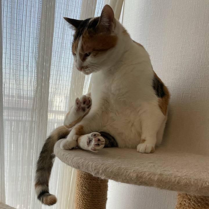 6d538a6b e759 4ad7 89cc b4fe31d14d60 1608467631822