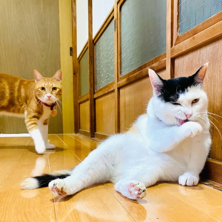 6d53a637 7923 4156 b04b 166306027438 1689801027125