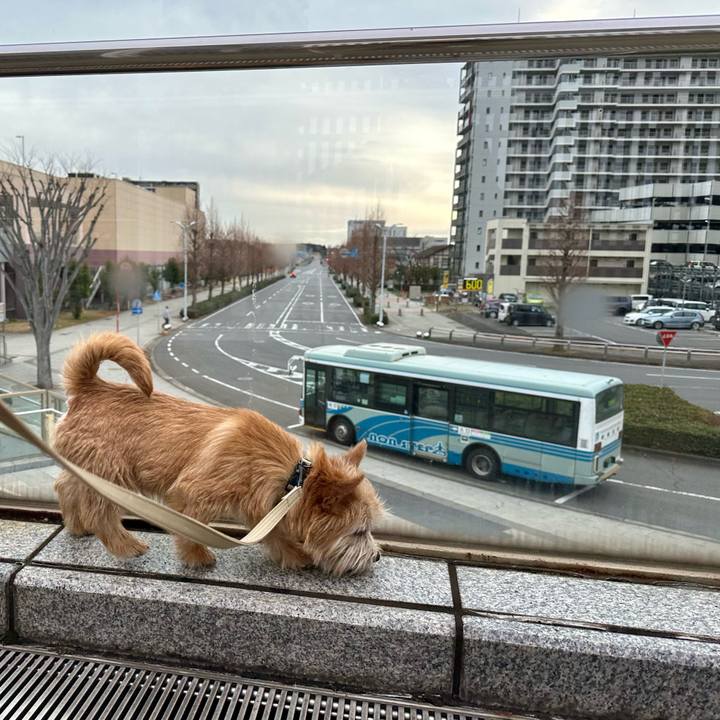 6d53a91d 8127 4ec3 9de8 871f86219a68 1708839223049