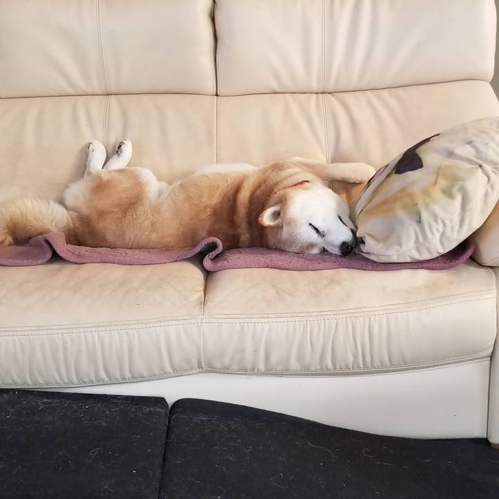 6d53d796 cee4 41a0 81a1 3c62d16218f3 1761954056382