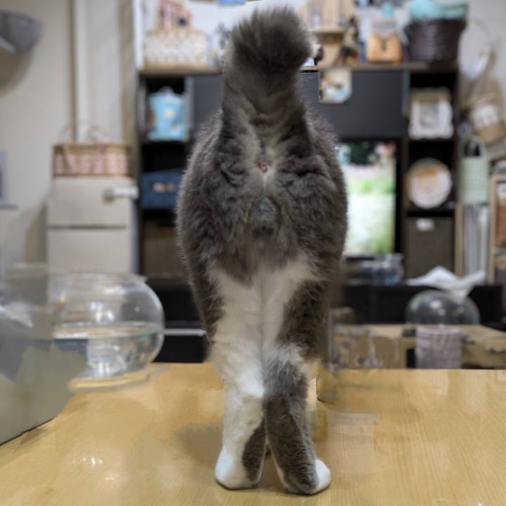 6d53f966 31ac 480b b33c 8e7d6e1f4de3 1761132599141