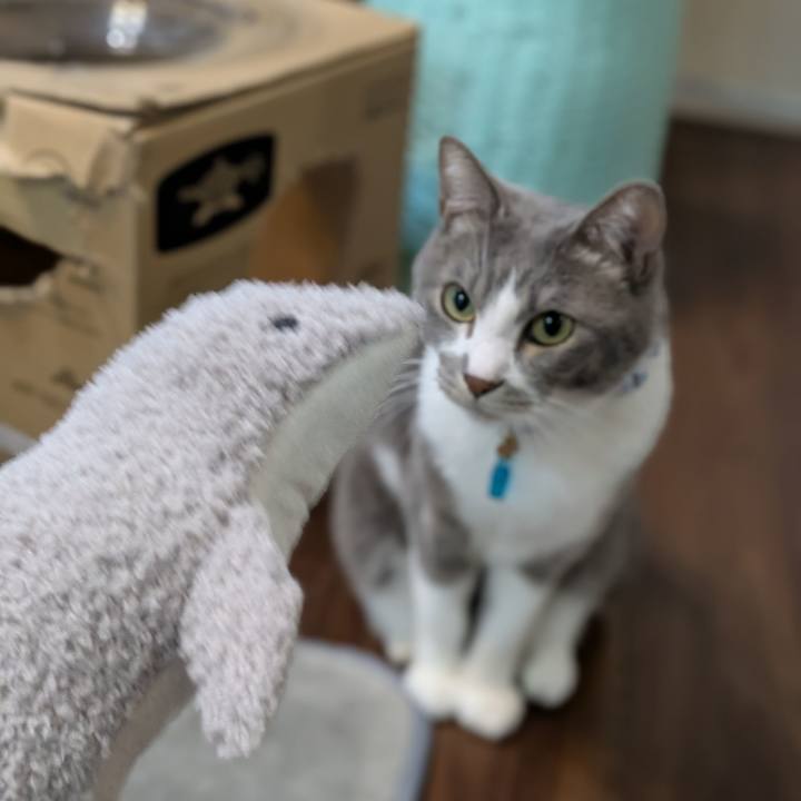 6d541226 0772 491e 8073 d582647b170c 1734572337359