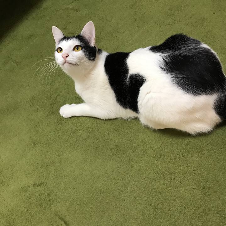 6d542610 c458 407d 90ba 25cf2f4e1637 1508111930734