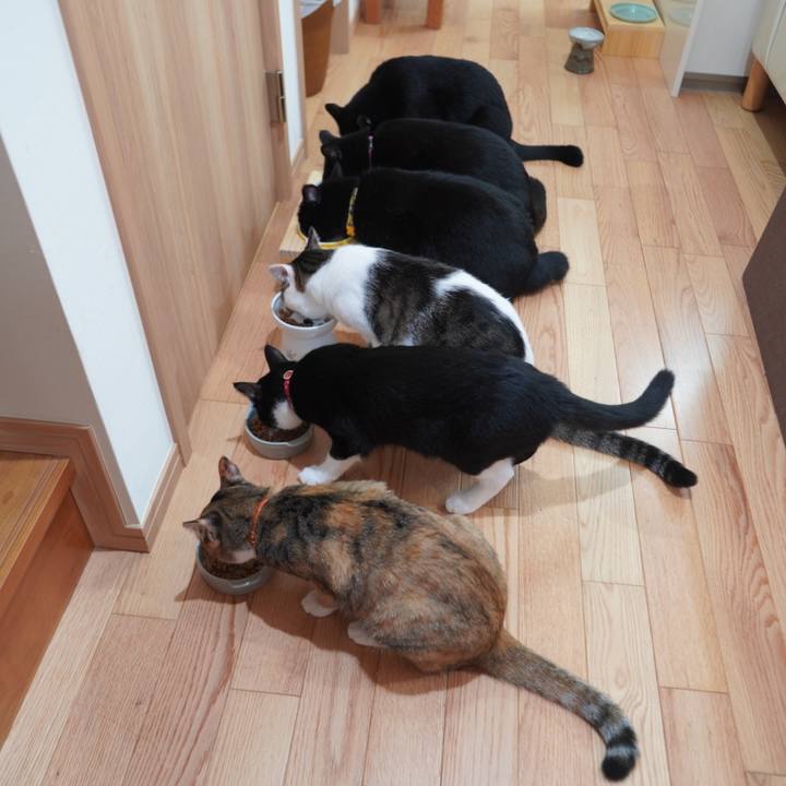 6d54628f d465 4c85 88e3 638a3858a825 1598569709042