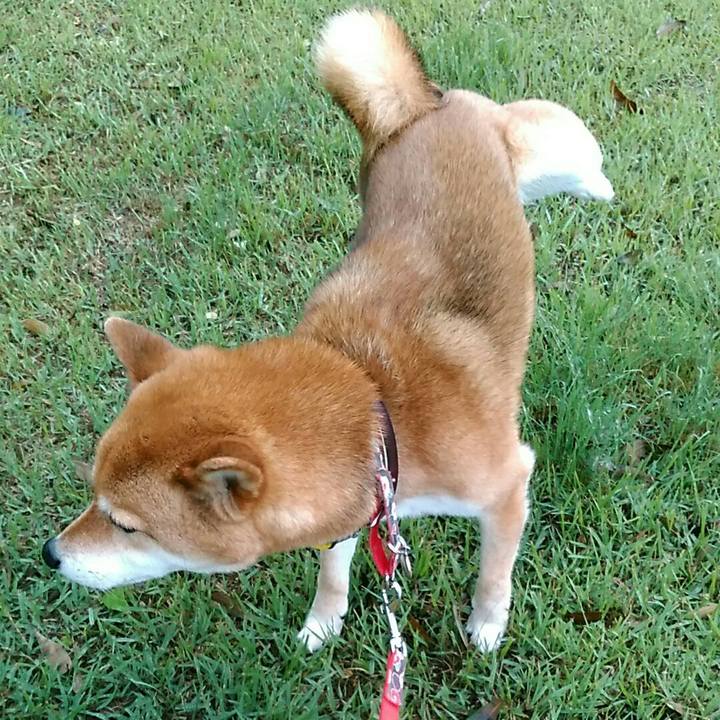 6d5465a2 9feb 43cc 8e3d 1a704c6a0b7c 1558424365300