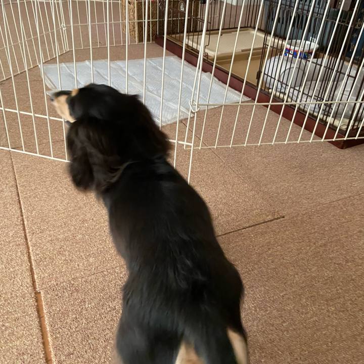 6d54d3f9 183c 4587 9c0f 7964e1eb6092 1725769232070