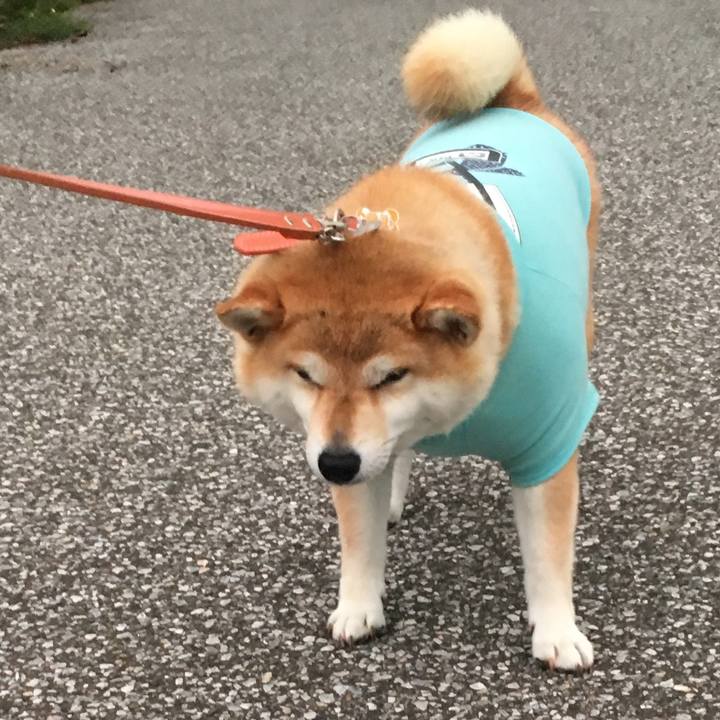 6d54efdb df77 4047 855c 7b91a274452d 1561198485233