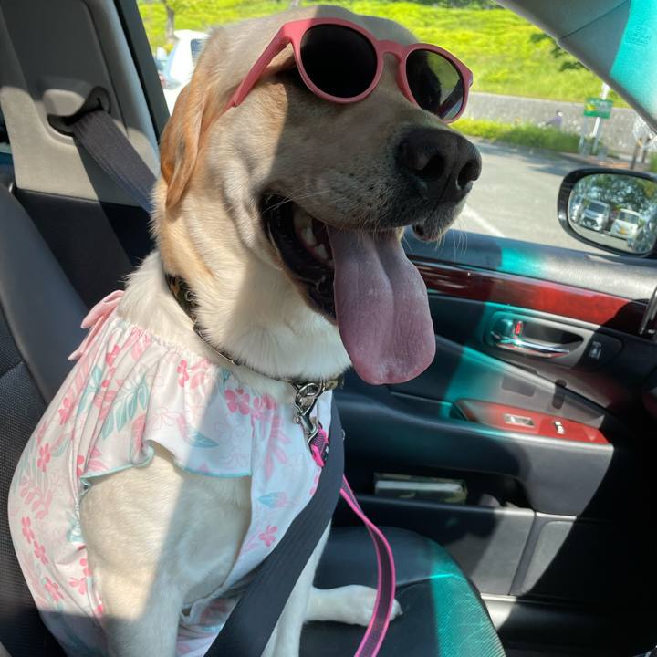 6d550d67 da02 4938 8bed 422ea1b16aaa 1652831868263