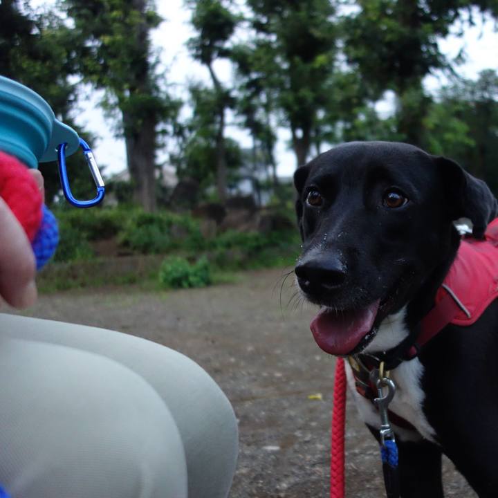 6d555216 28b6 492e a38d ddd593b63bcb 1596191611453