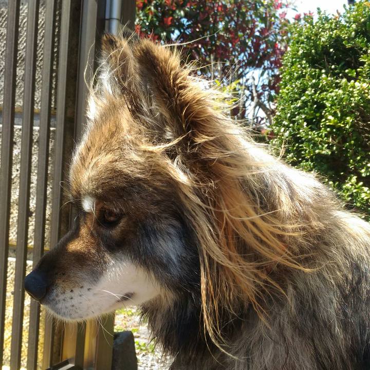 6d558dd1 5256 496f 89b8 6b42a2d75619 1555733970462