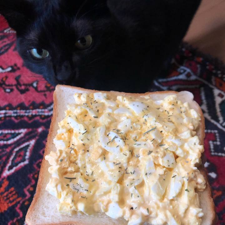 6d5607cd 9d2d 4c69 bad6 13d68cc3b54e 1570098475504