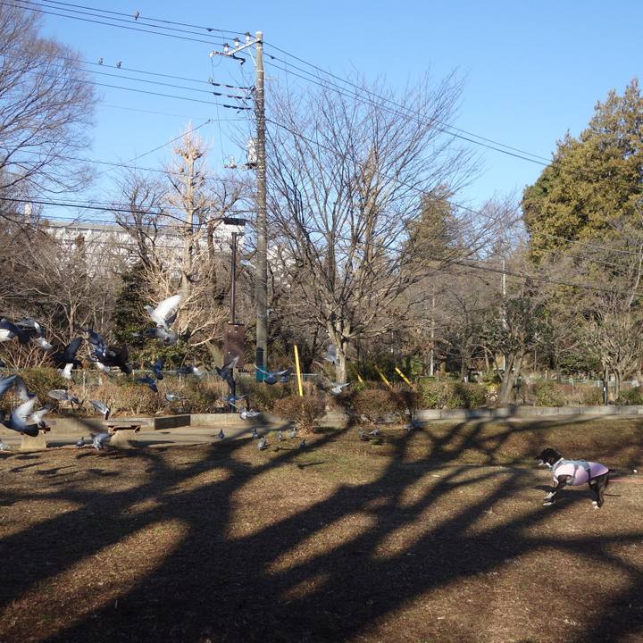 6d5613a7 61e4 48df 80bd 772d8b5e1abb 1707871602406