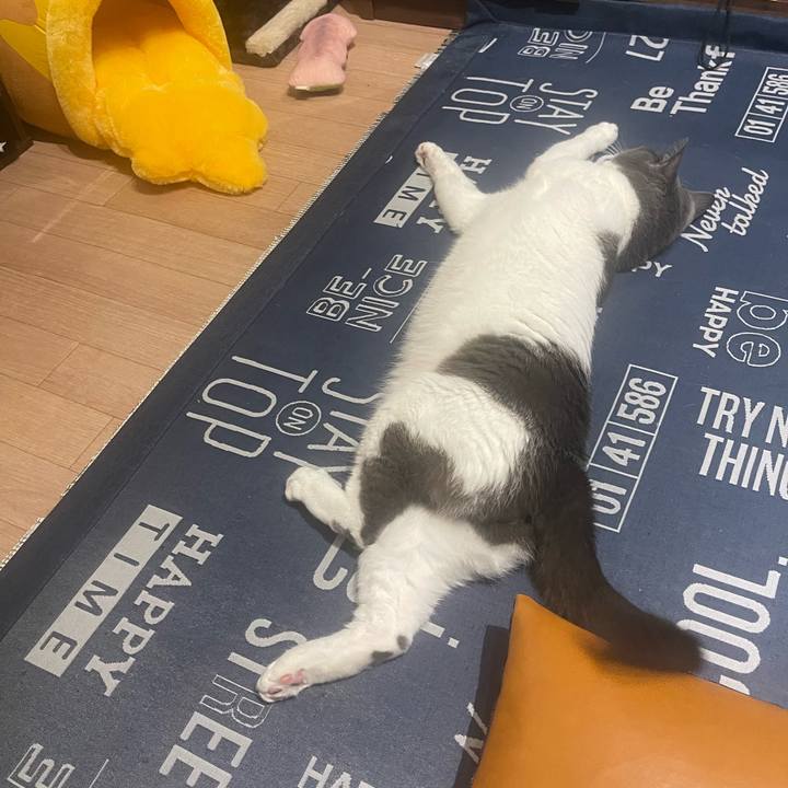 6d562644 282d 47e4 ab67 14df1ef0e5d4 1694710202808