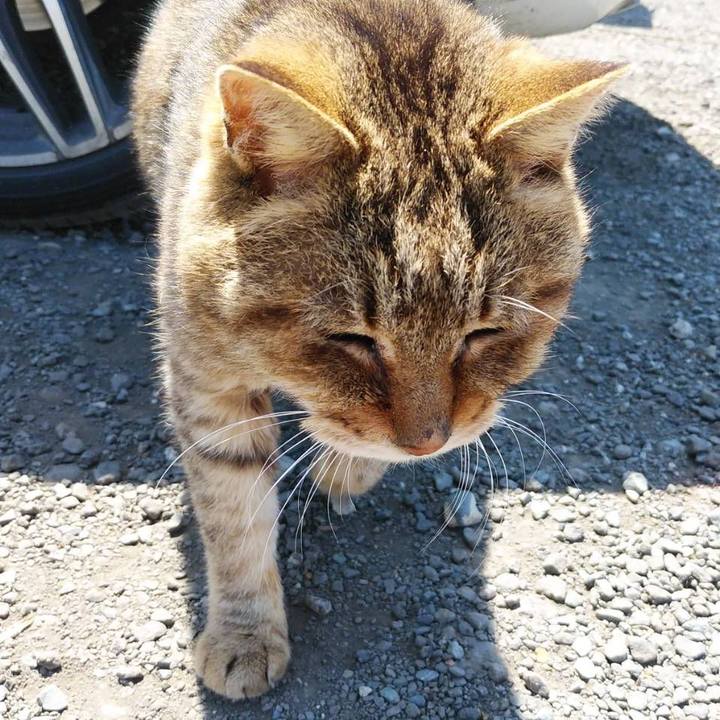 6d564348 26c2 4cda af03 ee289a70beb8 1618833743710