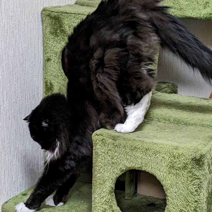 6d56455f 18f8 4b62 af47 443147c7dae5 1679221126630