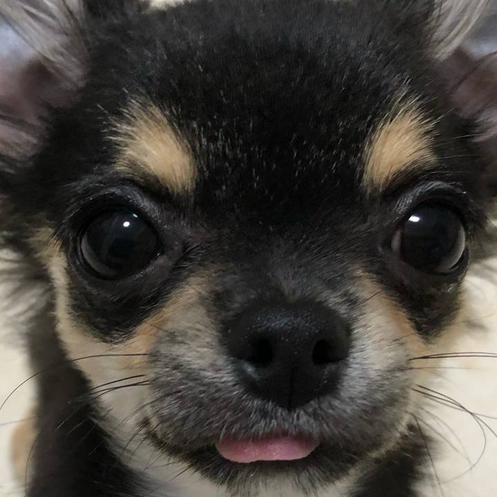 6d5655ca 8f09 4b3f b085 b9e87044db1c 1538778985271