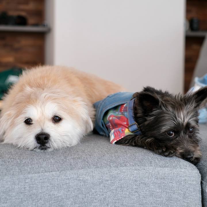 6d56870f 39d7 496d b867 93b4344c1795 1771753624565