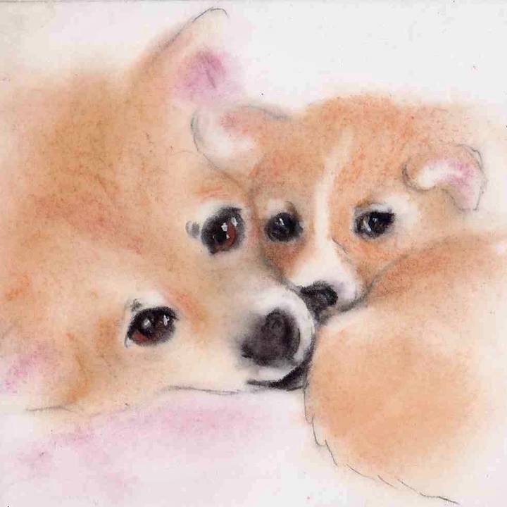 6d56fc5e 6a7a 403c bab3 184aa62cd12b 1634040425762