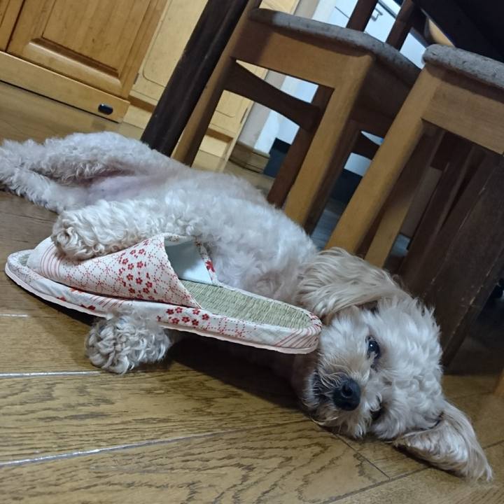 6d5700db 8fd9 45be 989a a34267b8bbf9 1530711784640