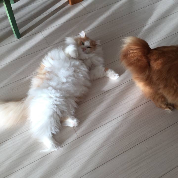 6d5710e8 2d36 4b3b b448 e9ddba1e60a9 1513547461910