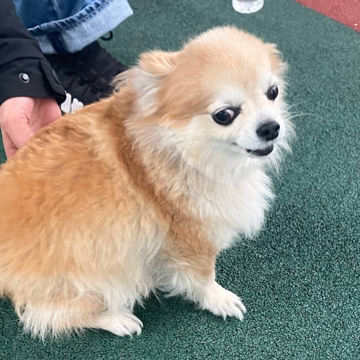 6d5715f4 cbe4 4785 afb2 3cd6d208e95d 1770725879708