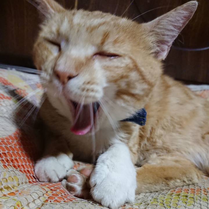 6d573cbf 14e5 4ba5 a8b6 38a0e288fc12 1562075776237