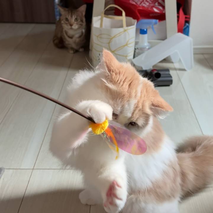 6d5746da e3d1 4493 82d4 c56a4221b17c 1749121013940