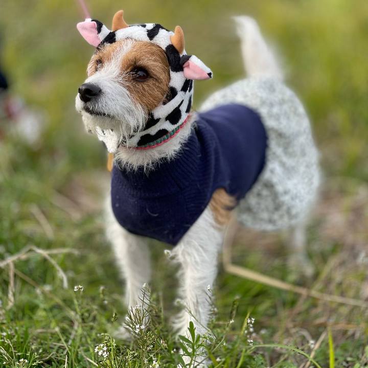 6d5746db f9c7 4528 8c58 1a8e9bacadee 1607849647856