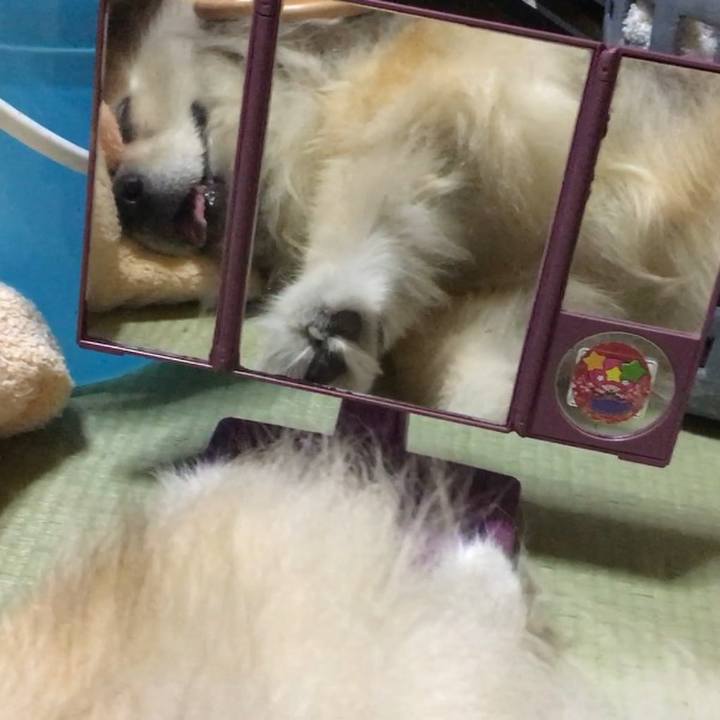 6d574b95 6836 4415 bda6 33565a7ebcce 1657581058142