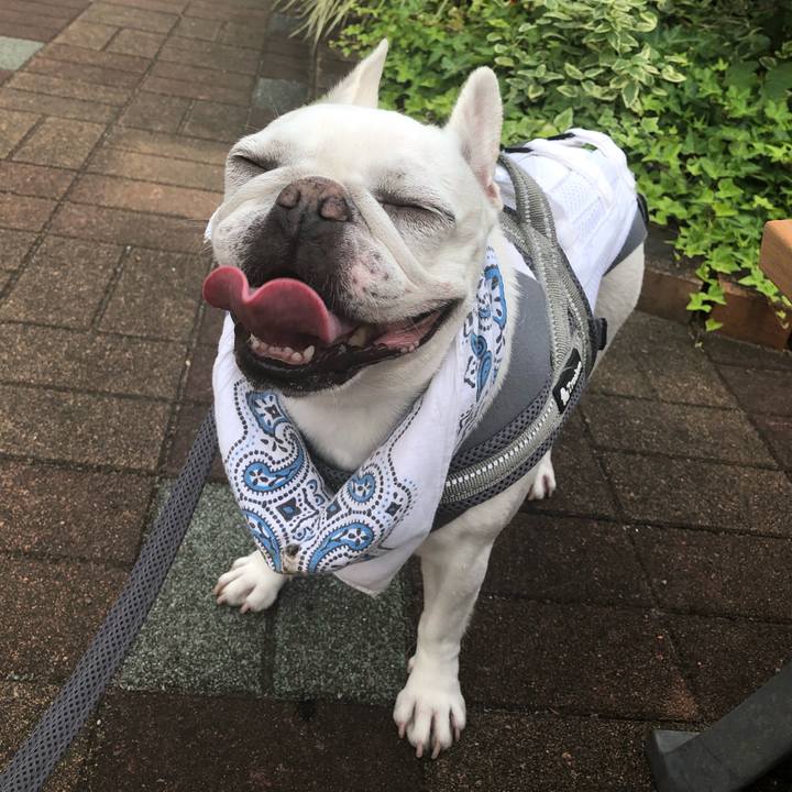 6d579160 e614 43c2 aa24 404e0695908e 1655679273165