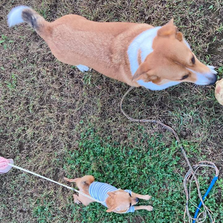 6d579e38 8c86 4861 a529 25c981f152bb 1634604993936