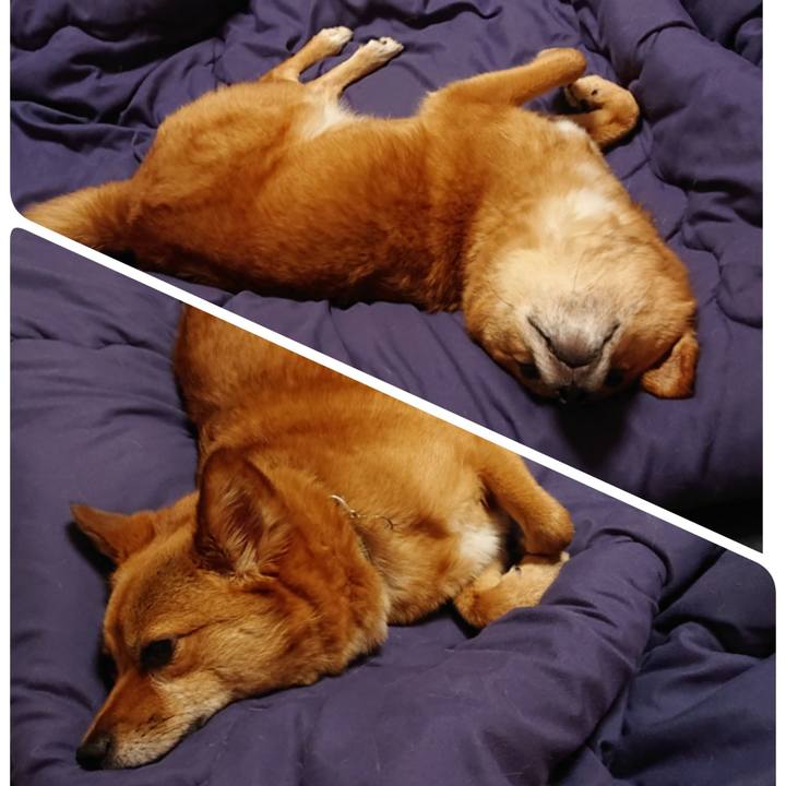 6d57a770 cbc3 4d76 a060 08194e6e3cfb 1560293063457