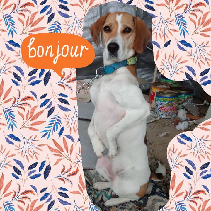 6d57b6c4 d09c 43cf b8d8 ad7beded3599 1606029497035