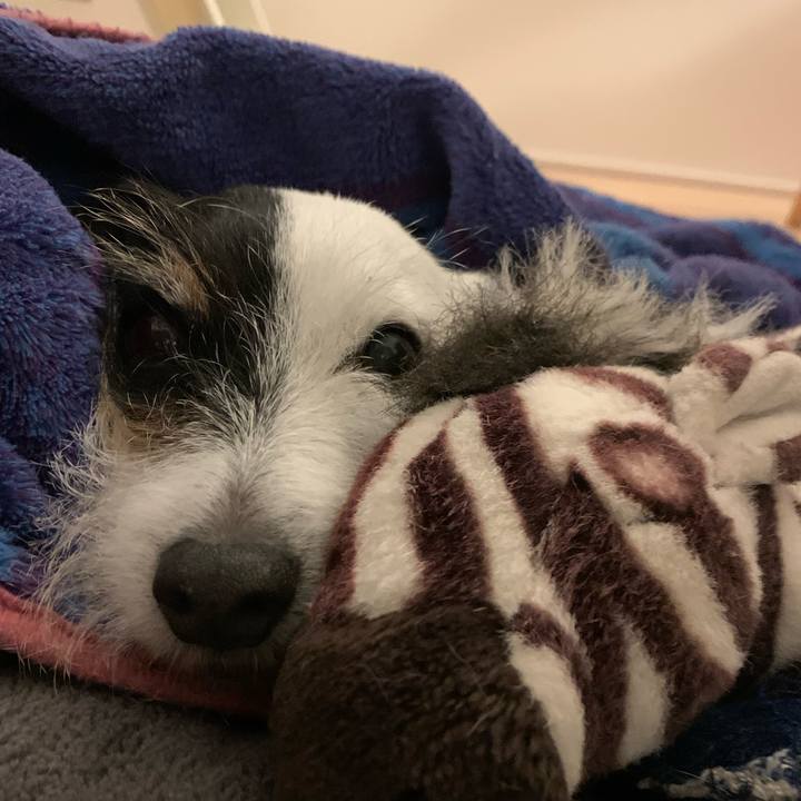 6d57e6df 78eb 4e19 bd0e 66f995918345 1732108021674