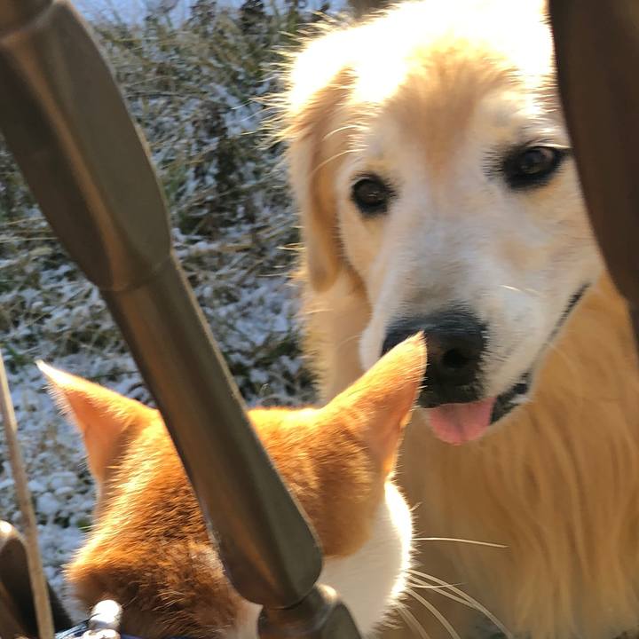 6d58048d ba35 40fe 8b67 4bec448387f7 1546130975011