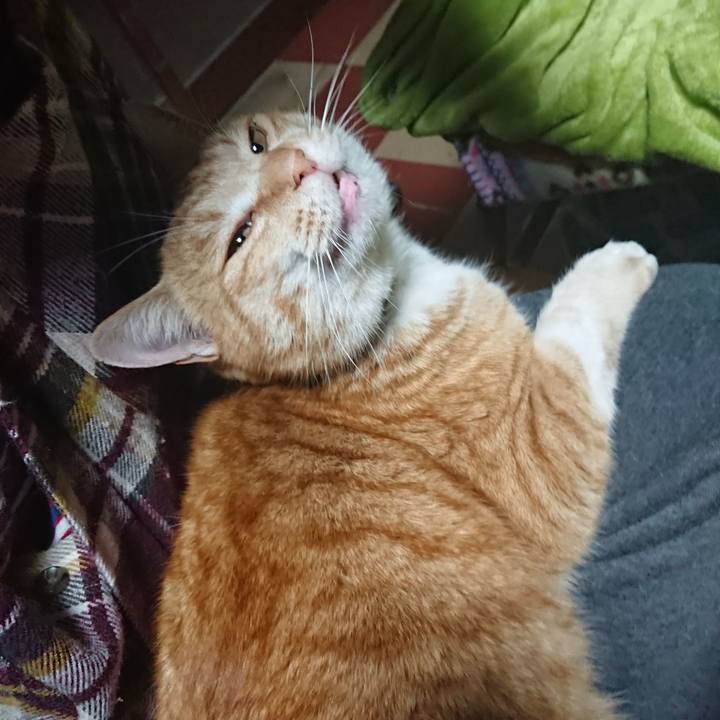 6d581b2d cb6e 48f9 812b d0c3e9261d9d 1582317854880