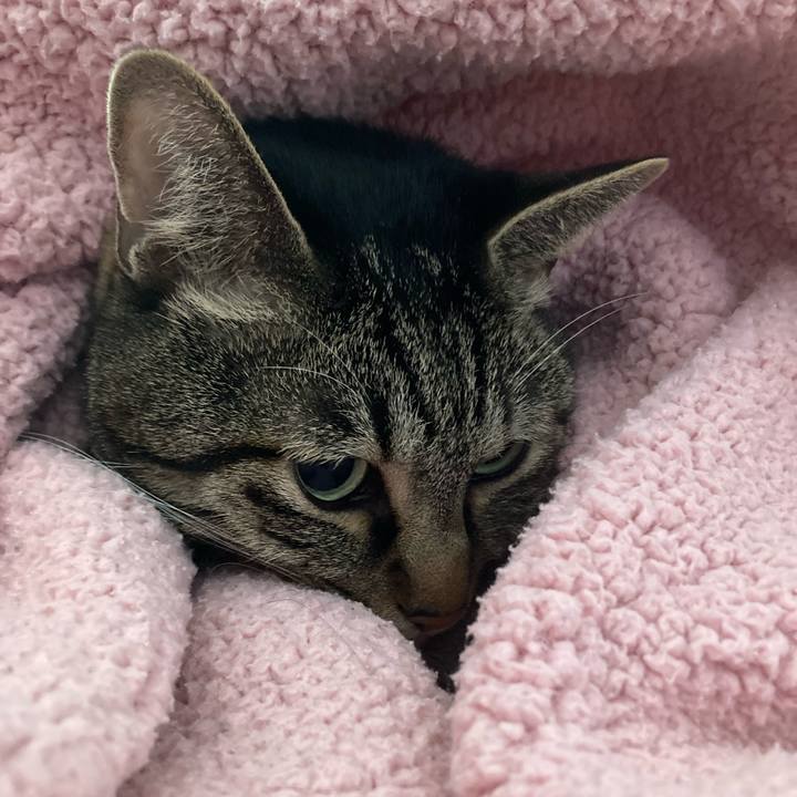 6d5832fa 3a14 4805 9458 aa9b301c2492 1634613567837