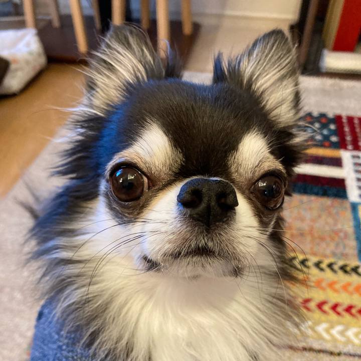 6d583817 2ffe 4113 97d4 70ddc6197151 1706407459759