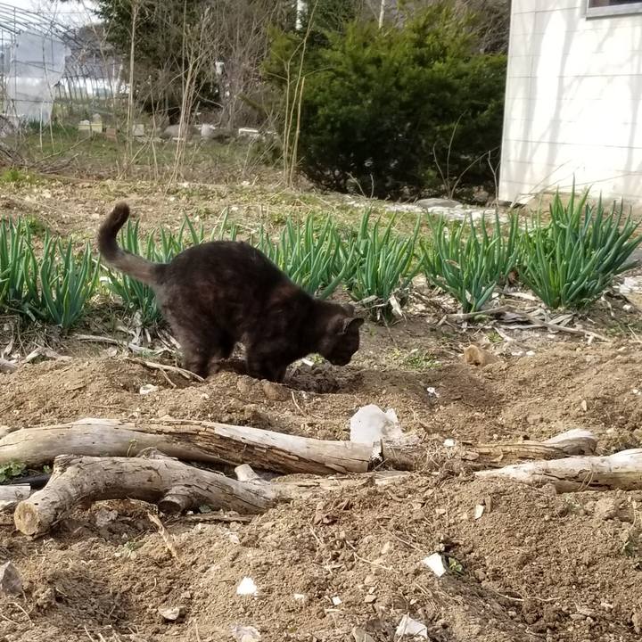 6d58a137 ce1a 470e 9620 13247187d576 1650959966182