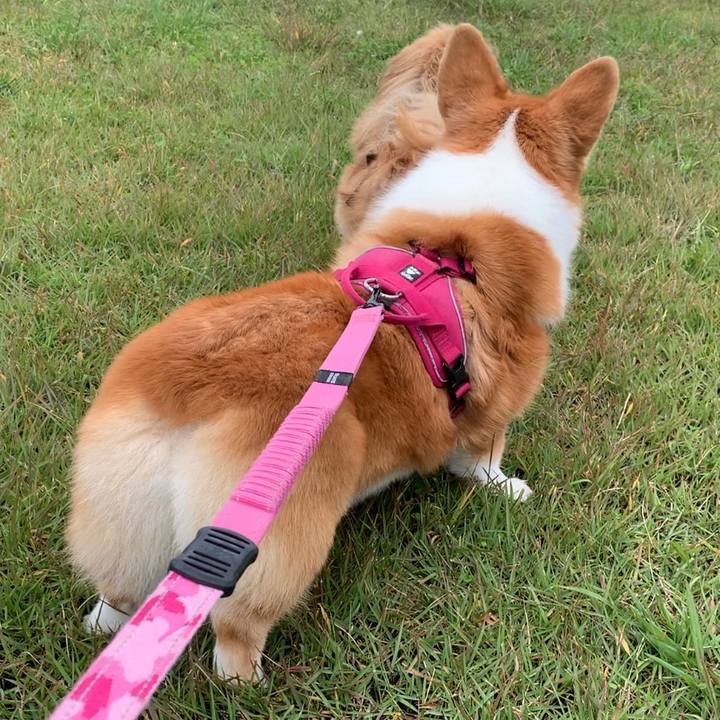 6d5914b9 4155 4aeb bb25 582c19f8d168 1666677951311