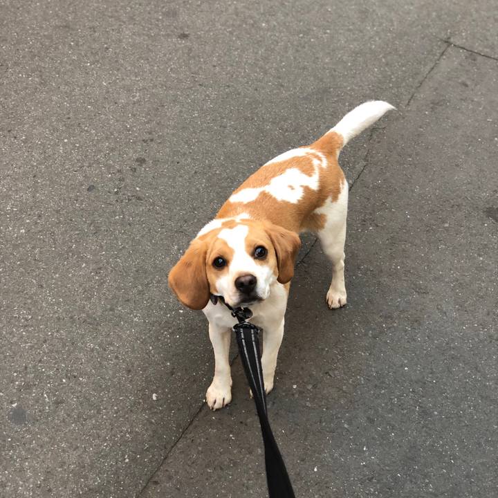 6d5932d3 b91d 4eb0 b0cd 6e29a2b1bea8 1555659101542