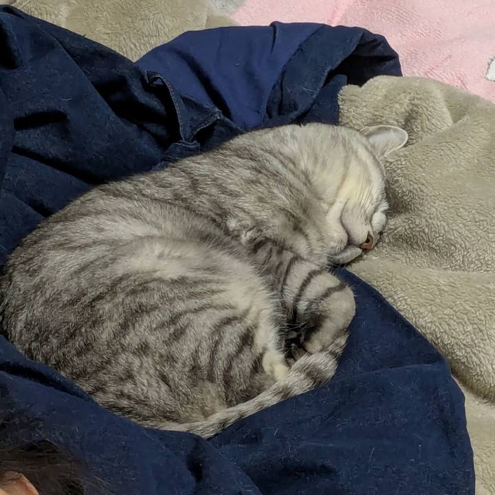 6d594168 eded 4204 856c de546ed52b72 1766764836516